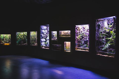Cairns Aquarium By Twilight With 3 Course Dinner - Accommodation Gold Coast 3