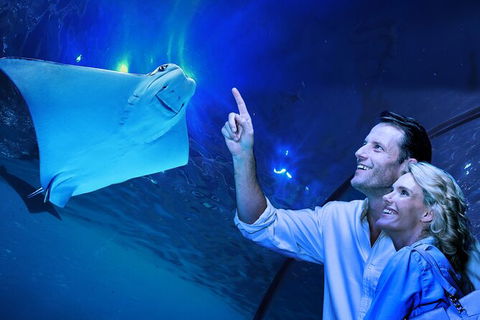 Cairns Aquarium Tour By Twilight With Drink And Appetiser - Accommodation Gold Coast 0