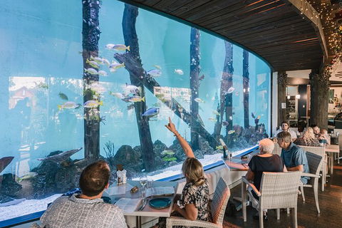 Cairns Aquarium Tour By Twilight With Drink And Appetiser - Accommodation Gold Coast 1