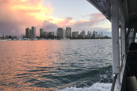 Aquaduck Secrets, Scandals And Sunset Tour - 1 Gold Coast 5
