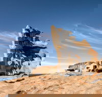 Kangaroo Island Luxury Small Group 'Flinders Chase Focus' Full Day Tour - 1 Gold Coast