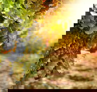 Kangaroo Island Half Day Food and Wine Trail Tour - 1 Gold Coast