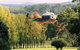 Adelaide Hills Wine Tour - thumb 0