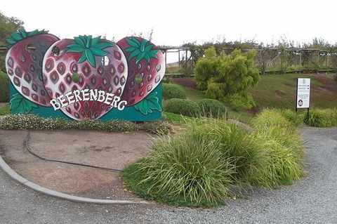 Adelaide Hills Regional / Hahndorf German Village Tour - 1 Gold Coast 6