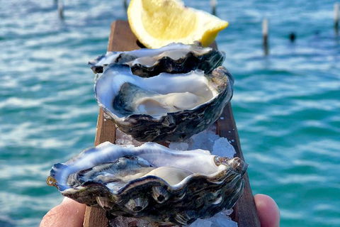 Coffin Bay Oysters, Ocean & Nature Tour - Accommodation Gold Coast 0