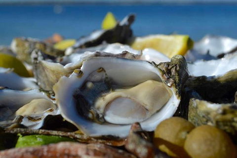 Coffin Bay Oysters, Ocean & Nature Tour - Accommodation Gold Coast 8