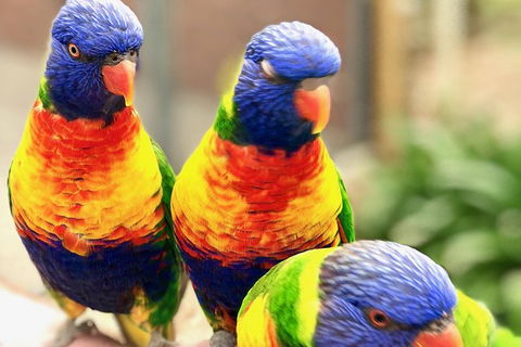 Coffin Bay Oysters, Ocean & Nature Tour - Accommodation Gold Coast 9