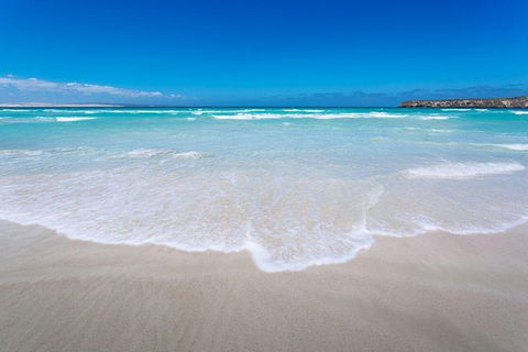 Coffin Bay Oysters, Ocean & Nature Tour - Accommodation Gold Coast 14