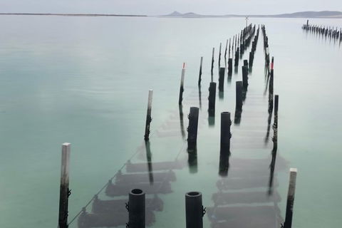 Coffin Bay Oysters, Ocean & Nature Tour - Accommodation Gold Coast 15