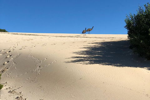 Coffin Bay Oysters, Ocean & Nature Tour - Accommodation Gold Coast 4