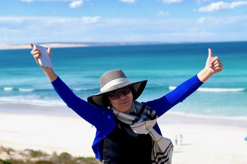 Coffin Bay Oysters, Ocean & Nature Tour - Accommodation Gold Coast 11