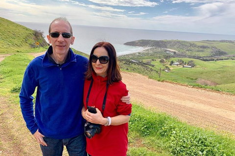 Kangaroo Island 4WD - Seal Bay - 1 Gold Coast 6