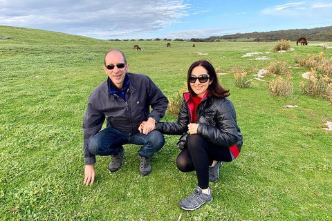 Kangaroo Island 4WD - Seal Bay - 1 Gold Coast 5