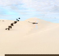 Kangaroo Island 2 Hour Bike Tour - 1 Gold Coast