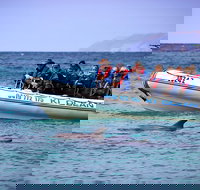 Kangaroo Island 75-Minute Ocean Safari - 1 Gold Coast