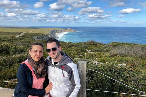 NEW TOUR - Flinders Chase Tour (Recovering From Fires) - Accommodation Gold Coast 3