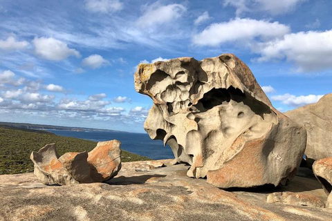NEW TOUR - Flinders Chase Tour (Recovering From Fires) - Accommodation Gold Coast 2