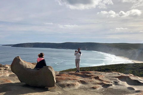 NEW TOUR - Flinders Chase Tour (Recovering From Fires) - Accommodation Gold Coast 5