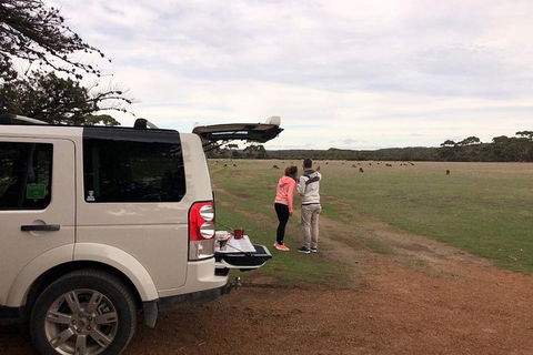 NEW TOUR - Flinders Chase Tour (Recovering From Fires) - Accommodation Gold Coast 6