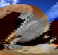 Full-Day Kangaroo Island Safari from Penneshaw - 1 Gold Coast