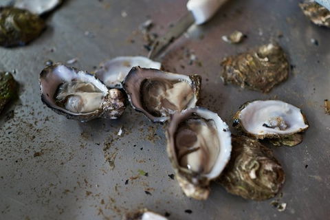 Fine Flavours - Full Day Kangaroo Island Food & Wine Tour - 1 Gold Coast 10