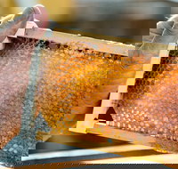 Fine Flavours - Full Day Kangaroo Island Food  Wine Tour - 1 Gold Coast