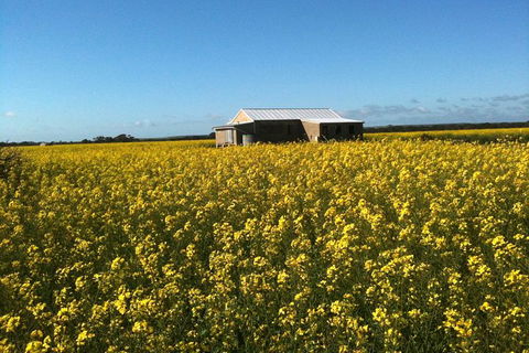 Fine Flavours - Full Day Kangaroo Island Food & Wine Tour - 1 Gold Coast 11