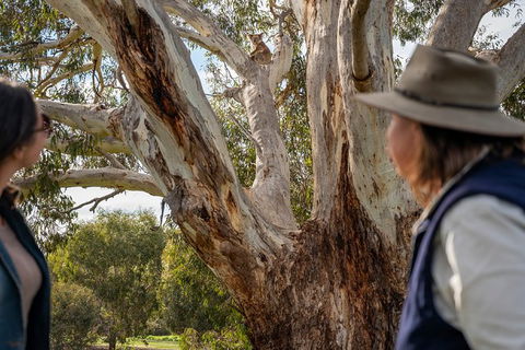 NEW TOUR - Kangaroo Island Road To Recovery Tour (1 Day/1 Night) - Accommodation Gold Coast 2