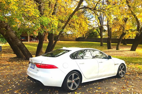 Luxury Jaguar Barossa Valley Half Day Private Tour For 2 - Accommodation Gold Coast 0
