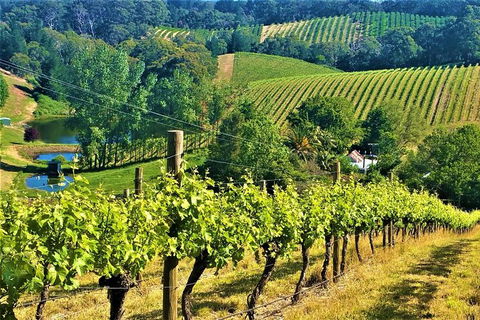 Adelaide Hills Private Day Tour - 1 Gold Coast 0