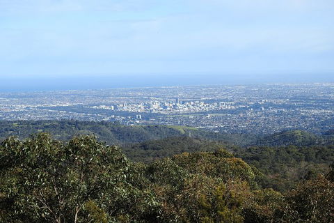 Adelaide Hills Private Day Tour - 1 Gold Coast 1