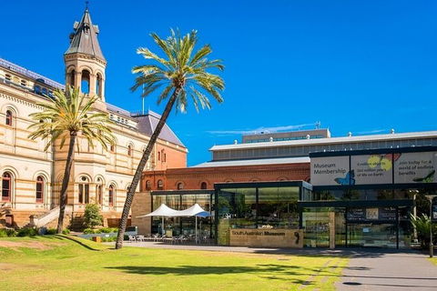 Departure Private Transfers: Adelaide To Adelaide Airport ADL In Luxury Van - Accommodation Gold Coast 5