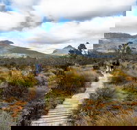 Cradle Mountain Day Tour - Accommodation Gold Coast