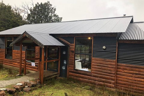 After Dark Tasmanian Devil Feeding Tour At Cradle Mountain - Accommodation Gold Coast 6