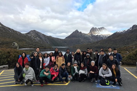 Shore Excursion - Cradle Mountain Day Tour From Burnie - Accommodation Gold Coast 4