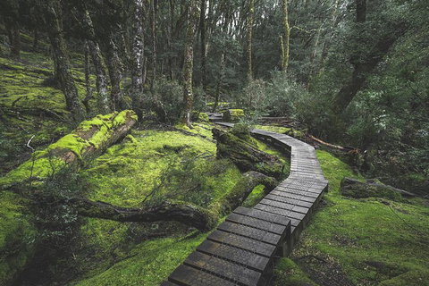 Shore Excursion - Cradle Mountain Day Tour From Burnie - Accommodation Gold Coast 2