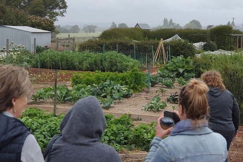 Unearthed Chefs Tour - Accommodation Gold Coast 17