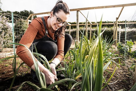 Unearthed Chefs Tour - Accommodation Gold Coast 16