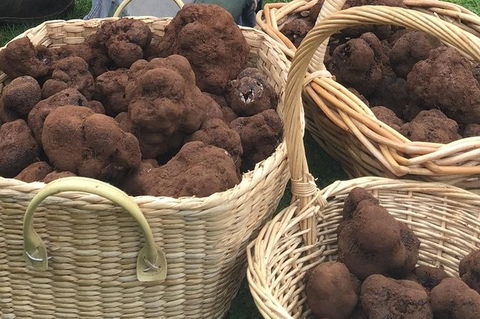 Unearthed Chefs Tour - Accommodation Gold Coast 13