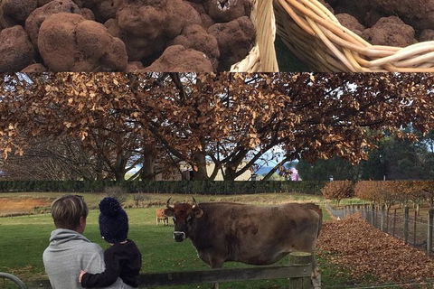 Unearthed Chefs Tour - Accommodation Gold Coast 6