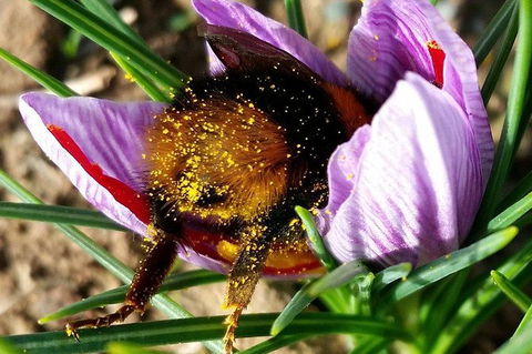 Unearthed Chefs Tour - Accommodation Gold Coast 9