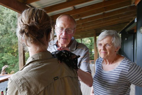 Sunset Experience - Accommodation Gold Coast 4