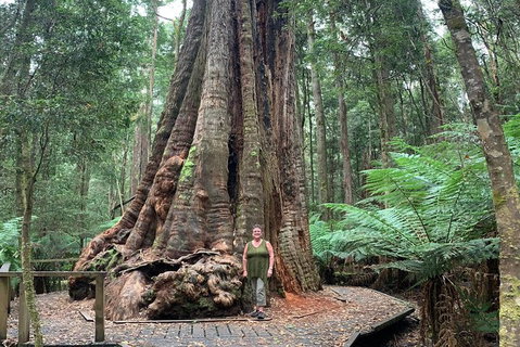 Cruise Ship Excursion: Stanley - Accommodation Gold Coast 20
