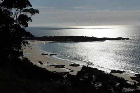 Cruise Ship Excursion: Stanley - Accommodation Gold Coast 24