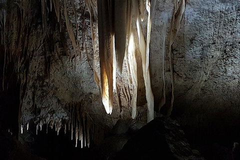 Shore Excursion: Coast, Caves And Wildlife Park - 8 Hour Tour - Accommodation Gold Coast 10
