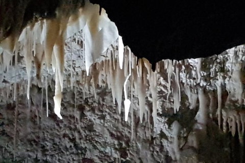 Shore Excursion: Coast, Caves And Wildlife Park - 8 Hour Tour - Accommodation Gold Coast 21