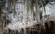 Shore Excursion: Coast, Caves And Wildlife Park - 8 Hour Tour - thumb 15