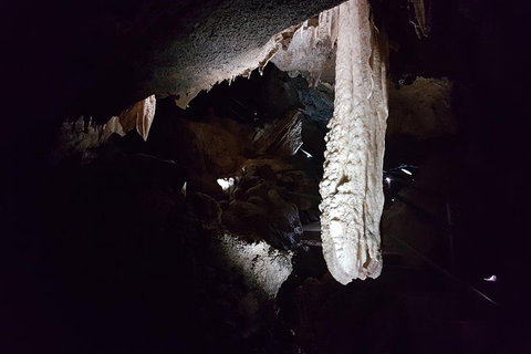 Shore Excursion: Coast, Caves And Wildlife Park - 8 Hour Tour - Accommodation Gold Coast 12