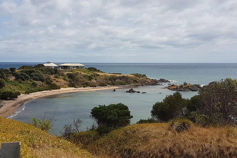Shore Excursion: Coast, Caves And Wildlife Park - 8 Hour Tour - Accommodation Gold Coast 0
