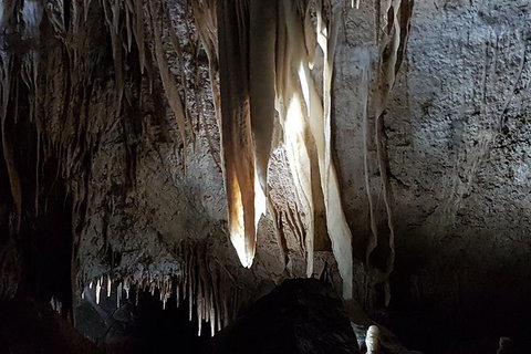 Shore Excursion: Coast, Caves And Wildlife Park - 8 Hour Tour - Accommodation Gold Coast 7